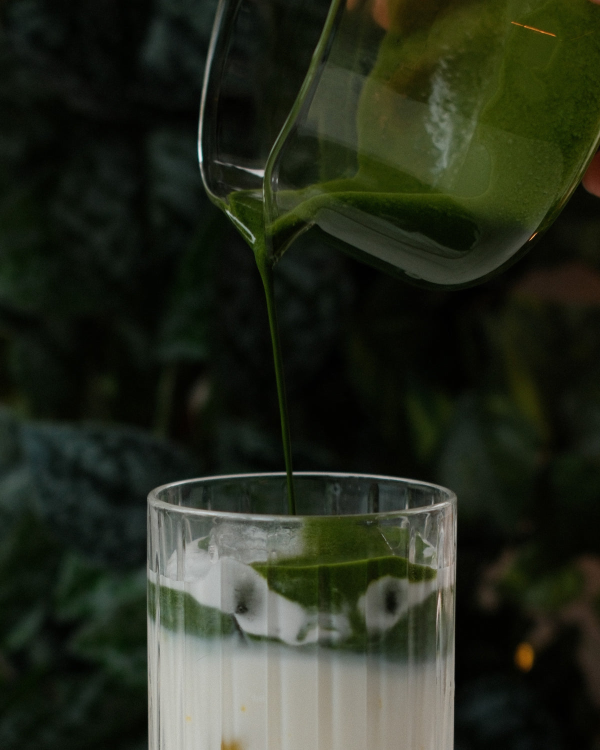 Ceremoniële Matcha 100 gram