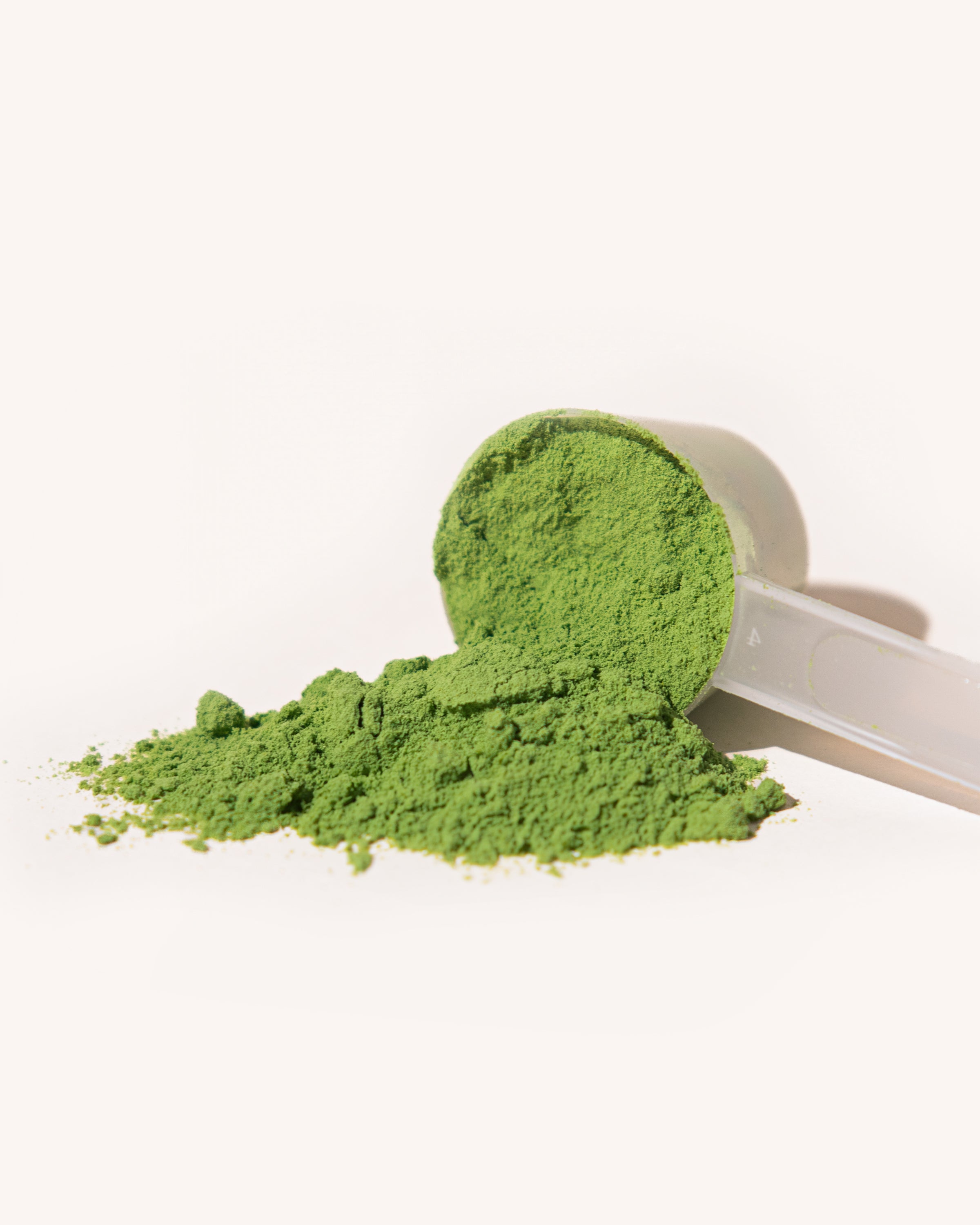 Protein Matcha - Whey Isolate | 500g